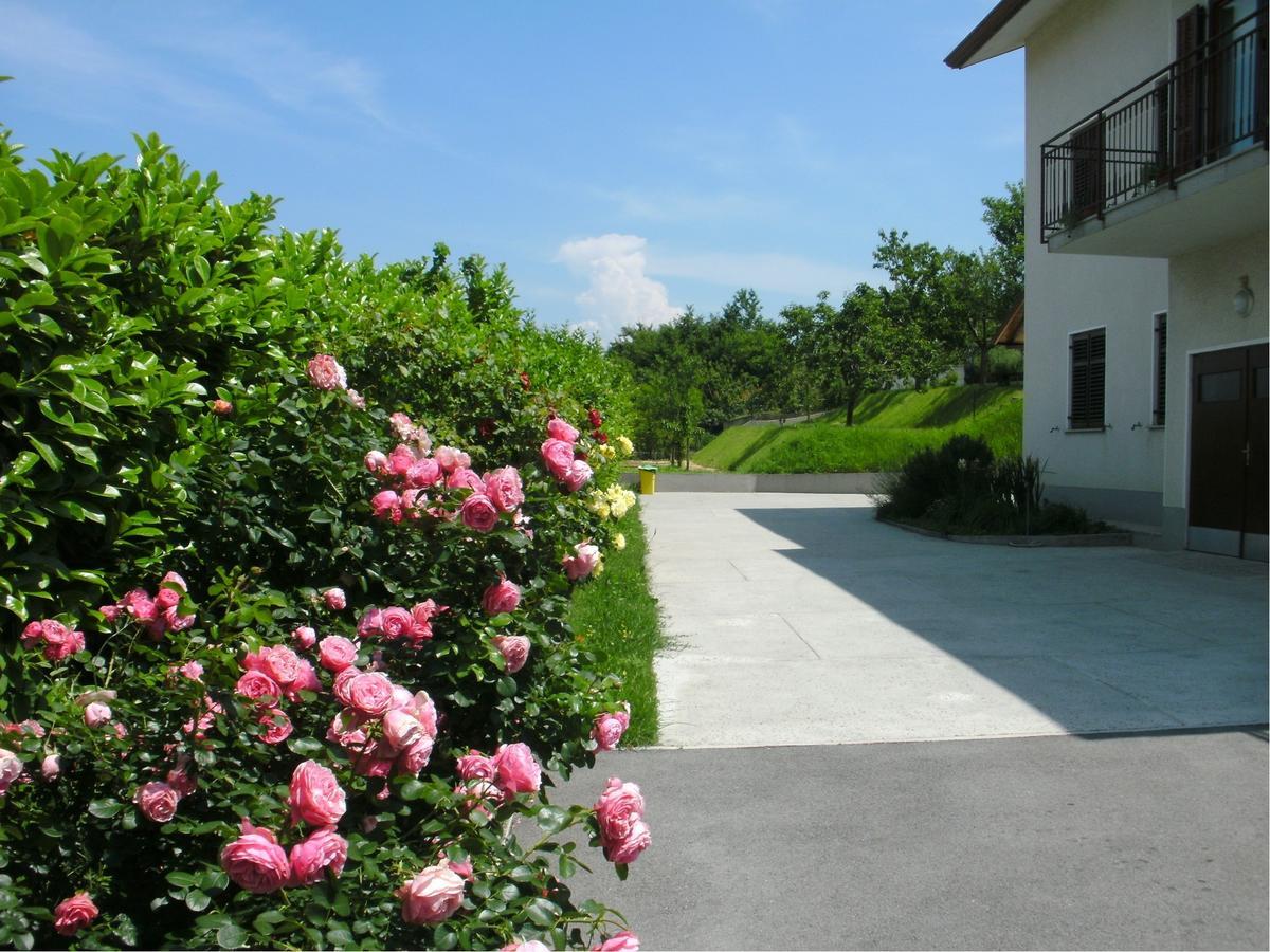 Relax Sea View Apartment Laguna 97 อิซอลา ภายนอก รูปภาพ